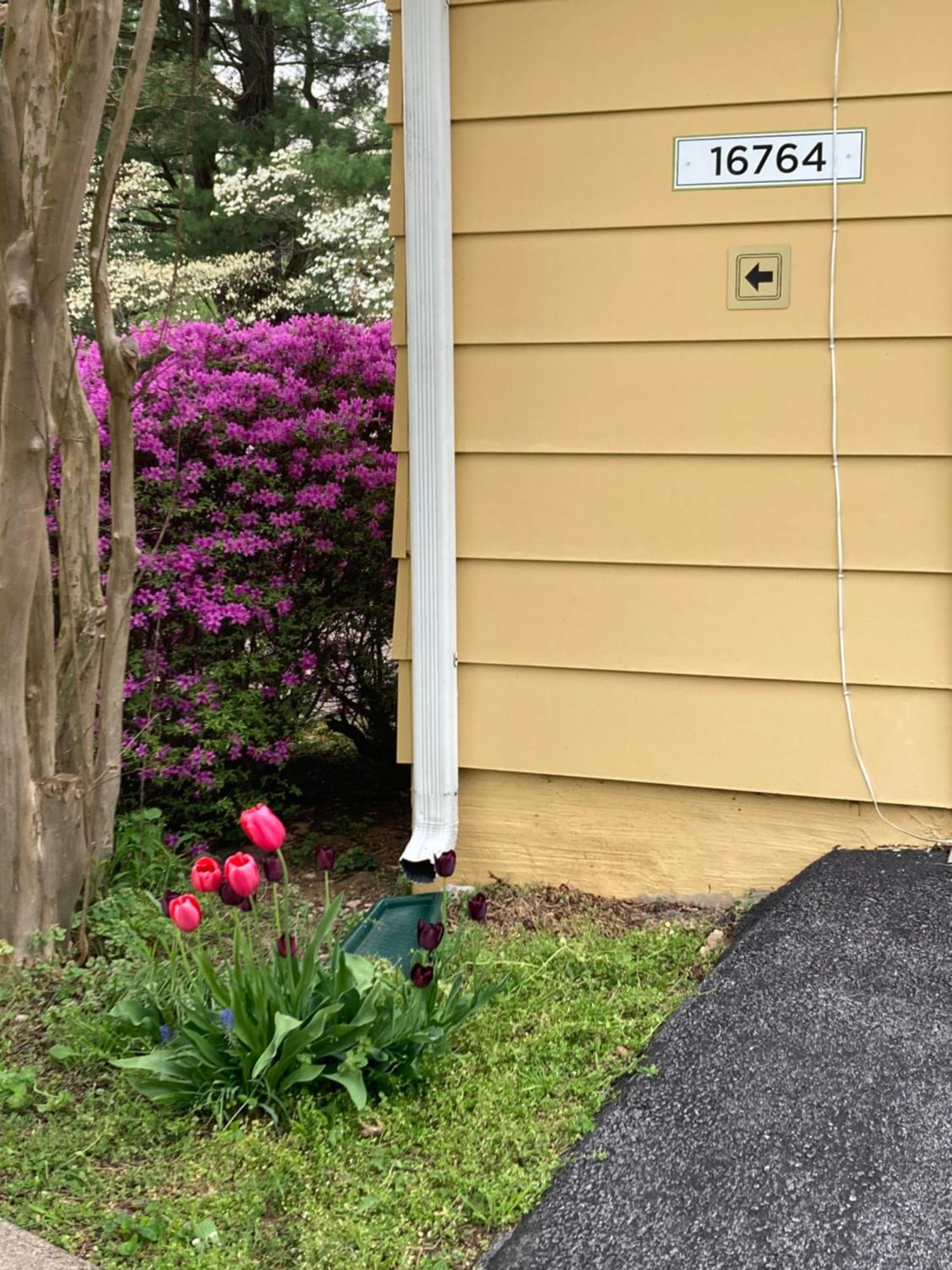 Purcellville Home Buitenkant foto
